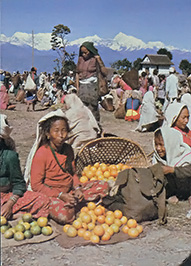 A vendor selling tangerines at an open air market in Chinpur, Nepal.